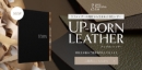 UP-BORN LEATHERのサムネイル